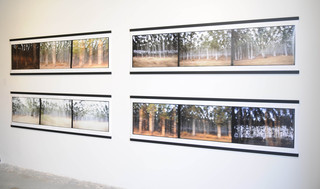 "Hluhluwe, South Africa - Sequence #1- 4",David Gimbel