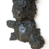 Arctos
