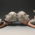 Aydlett_13470t