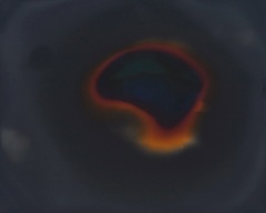 Img_9263_2