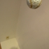 Chacha_9
