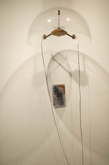 ,Darcy Dahl