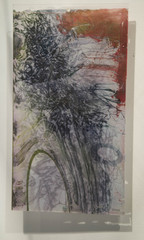 ,Darcy Dahl