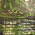 August_09_041