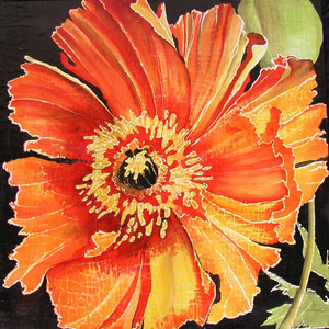 _3_frilly_orange_poppy