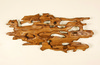 _catalpa_cloud