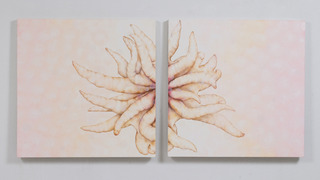 Buddha\'s Hands,Renée A Fox