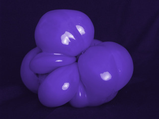 Blue Tomato,Ginger VanHook