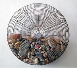 Rock Fan,Gale McCall