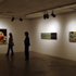 Drudis-biada-exhibit-16