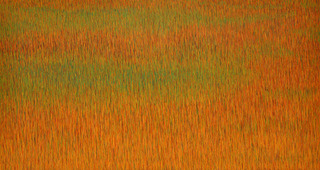 Sunset Grassland,Kenneth Ober