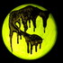 Sonig_s_wolf