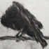 Hanson_crow_rain_1