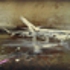 Aereo_bianco__web_