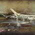 Aereo_bianco