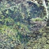 Rsgarden1