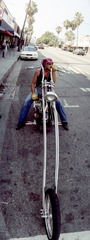 Chopper,Seth Taras