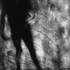 Nguyenly_print1