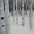 Winter_birch
