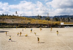 Fields
