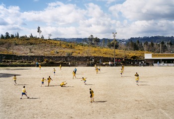 Fields
