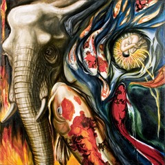 Elephant-koi_web
