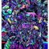 Morph_copy