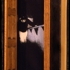 Heaven_book_2__stairs_to_the_roof_