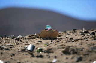  Atacama desert / Chile,JOHN CONLEY