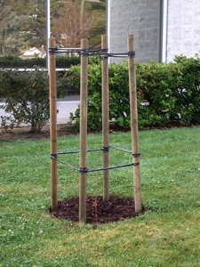 Our_treesm