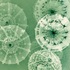 Greenseaurchincrowd