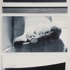 Quarreloftheimages