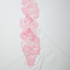 Twinnedapparatus_tres