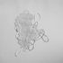 Twinned_apparatus_rosa_fuerte