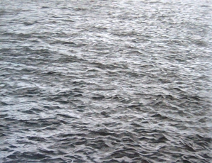Vijacelminsocean