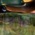 Landscape_122