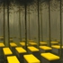 Stark__empire__oil_on_panel_55x45cm_2009
