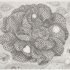 Tw08-11
