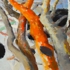 Carlson_5_orange_tree