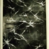 Lyken-_varium-_60x80cm