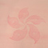 Bauhinia_lr2