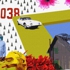 Collage1