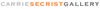 Csgnewlogo