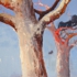 Carlson_24_guardians_i
