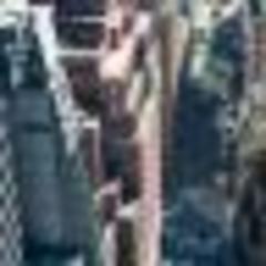 acfny,acfny