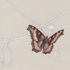 Milbert_s_tortoiseshell_and_pruskit_knots