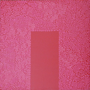 20110110133429-pinkonred12x12