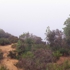 Hassen_ca_horus1_1200