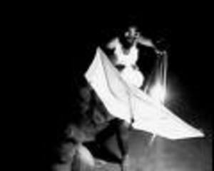 Dreamweaver,Dineo Seshee Bopape