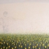 Sanjay_vora_june_field_large
